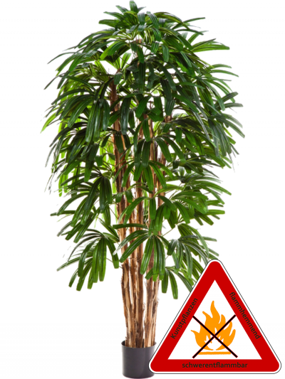 Rhapis Palme künstlich ca.150 cm, permanent schwerentflammbar